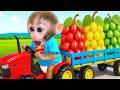 Macaco Bon Bon e suas travessuras com uma colmeia no parque | BONBON BRAZIL