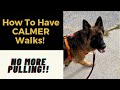 STOP Leash Pulling Quickly (2 Strategies)!