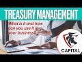 Basics of Treasury Management at Banks-How to use bank tools to create efficiencies in your business