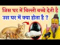 What happens in the house where a cat gives birth to kittens? Be careful immediately. Vastu Shastra