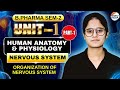 Organization Of Nervous System I HAP - II I Part -1 I Unit -1 I B.Pharm I Sem -2 #humananatomy