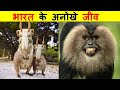 ASIA में पाए जाने वाले बेहद अनोखे जीव। RAREST ANIMALS IN ASIA.
