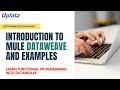 Introduction to Mule DataWeave and Examples | Learn Functional Programming with DataWeave | Uplatz