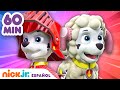 ¡Los disfraces de Marshall! 1 hora | Nick Jr. en Español