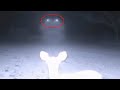 Trail Cam Captures What No One Was Supposed To See Part 11