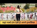 यहां साइंस गर्ल्स निकलती हैं अपनी ब्रा | कार्डोना ब्रा बाड़ | न्यूज़ीलैंड में पर्यटन स्थल.