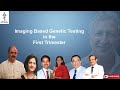 Imaging-Based Genetic Testing in the First Trimester: SFM  Rabih Chaoui Event, July 2020