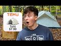 $100 TEMU Camping Survival Challenge