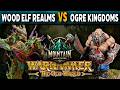 Wood Elf Realms vs Ogre Kingdoms - Warhammer The Old World Battle Report