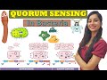 Quorum Sensing in Bacteria| Cell Communication| Gram positive \u0026 Gram Negative| AHL |Oligopeptide