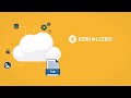 What is Serialized?