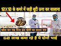 10x10 के कमरे से कमाए लाखो में | Cordyceps Militaris Mushroom Cultivation Training | ( कीड़ा जड़ी )