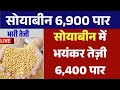 Mandi खुलते सोयाबीन में भारी तेजी, Soyabean ka bhav, Soya ka rate,Soyabean mandi bhav aaj ka bhav