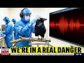 Crow Communication Was Just Decoded… What It Reveals About Humans Is Shocking