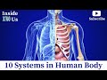 Human Organ Systems Anatomy | 10 Systems in Human Body 3D Animation Video