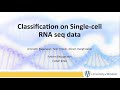 Single Cell RNA Sequencing Data Analysis