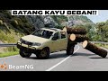 The Reason Why Cars Carrying Wood Need Permits 😂😂 BeamNG Drive Gameplay Indonesia