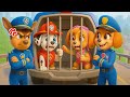 ¡Marshall \u0026 SKye se convierte en un Montero! ¿Qué pasará después | PAw PaTrol en Español | Rainbow 3