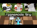 Minecraft Manhunt but i secretly used TINY mode..