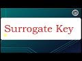 Why Surrogate Keys are used in Data Warehouse