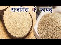 क्या है राजगिरा जब जानोगे इसके फायदों के बारे में तो दंग रह जाओगे/amaranth grain benefits