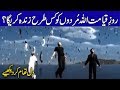 Qayamat Ka Din Aur Murdon Ka Zinda Hona ||  Rohail Voice Islamic Stories