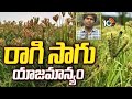 Copper Cultivation Management | Finger Millet Cultivation | Matti Manishi | Agriculture Tips | 10...