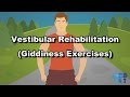 Vestibular Rehabilitation, Giddiness Exercises