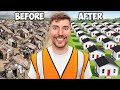 I Built 100 Houses And Gave Them Away!@MrBeast
