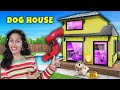 I Built a DREAM DOG HOUSE | India's Biggest Dog House