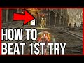 How to BEAT MALFORMED DRAGON KNIGHT ON BRIDGE 1ST TRY! (Crumbling Farum Azula Location)