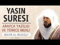 Yasin suresi anlamı dinle Mahir al Muaiqly (Yasin suresi arapça yazılışı okunuşu ve meali)