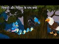 Five baby birds in the rain Part 2 | Rain story | Bird story | Cartoon bird story