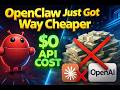 Run OpenClaw for FREE Using OpenRouter (No API Costs 🤯)