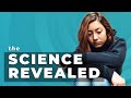 The Teenage Brain Explained - Dr Michael Nagel