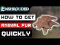 Enshrouded How To Find Animal Fur / Hide (Better Than Hunting)