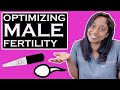 OPTIMIZING MALE FERTILITY