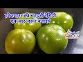हरे टमाटर से बनी ये रेसिपी सब्जी का भी स्वाद भुला देगी । Green Tomato Chutney | हरे टमाटर की चटनी