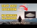 Finding Salt Early in the game | No Enemies | No Shroud | Enshrouded
