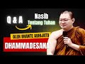 Tanya Jawab Dhamma Bhante Abhijato #tuhan #buddhisme #abhijato #addhikachannel #motivation #dhamma 