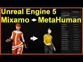 Copy Mixamo animations to your MetaHuman in Unreal Engine 5 #UE5 #animation #MetaHuman