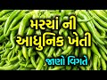 મરચા ની આધુનિક ખેતી - જાણો વિગતે - સફળ ખેતી - ખેડૂત વિકાસ