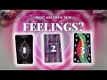 WHAT ARE THEIR TRUE FEELINGS? 💓 Pick A Group ✨ Tarot Reading
