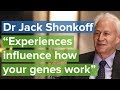 Dr Jack Shonkoff: The role of genes in early childhood development
