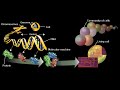 Omics  Genomics, Proteomics, Transcriptomics   Biochemistry, and Molecular Biology  How Life Works