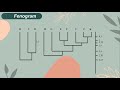 [Biosistematika] Penyusunan Fenogram, Kladogram, dan Pohon Filogeni pada Kingdom Animalia