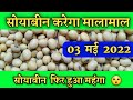 3 May 2022, Soyabin rate today.Soyabean ka bhav aaj ka.Soyabean Ka taza bhav.सोयाबीन बाजार भाव आजचे