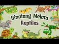 Mengenal Hewan Melata Atau Reptile Dalam Bahasa Inggris Dan Indonesia