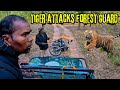 Tiger Attack on Forest Guard in Sanjay Dubri Tiger Reserve | Sanjay Dubri Jungle Safari