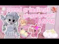 ♡ speed grind gingerbread with me!!🎄keyboard asmr | roblox adopt me ♡
